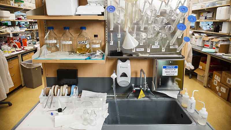 A laboratory cleaning area featuring a sink and a table, set in a clean, well-organized space. Beakers and test tubes are neatly arranged on a drying rack above the sink, demonstrating the principles of lean 5S for efficient workspace management.